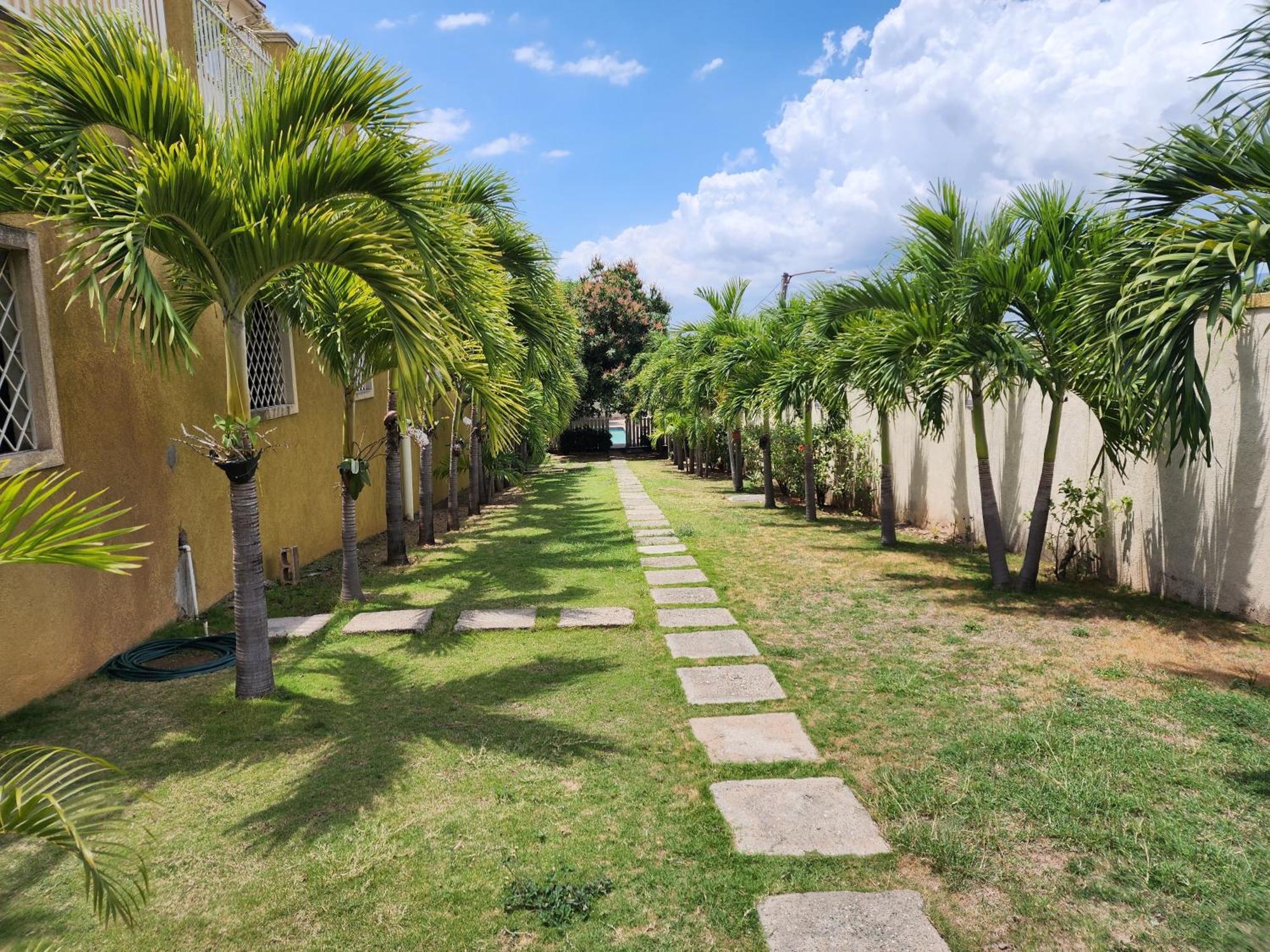 Bed and Breakfast Sweet Oasis Kingston Esterno foto